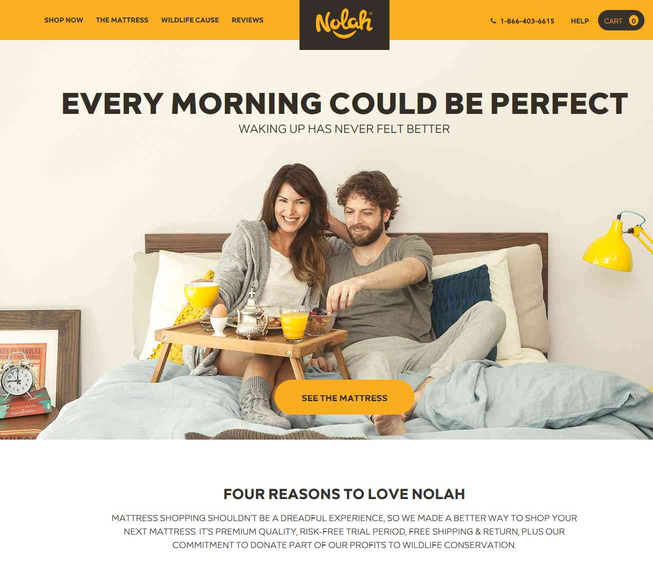 nolahmattress.com